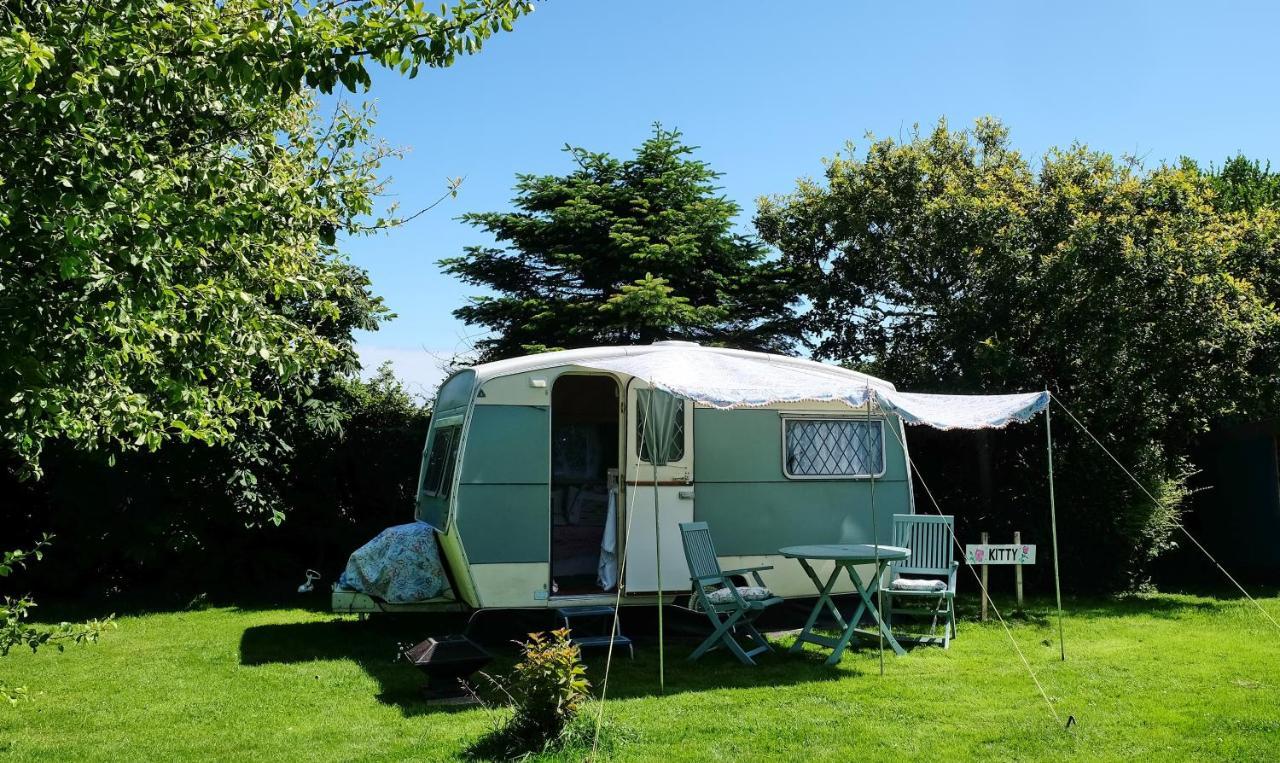 Kitty Unique 60S Caravan Set In Pretty Garden Villa Lizard Exterior photo